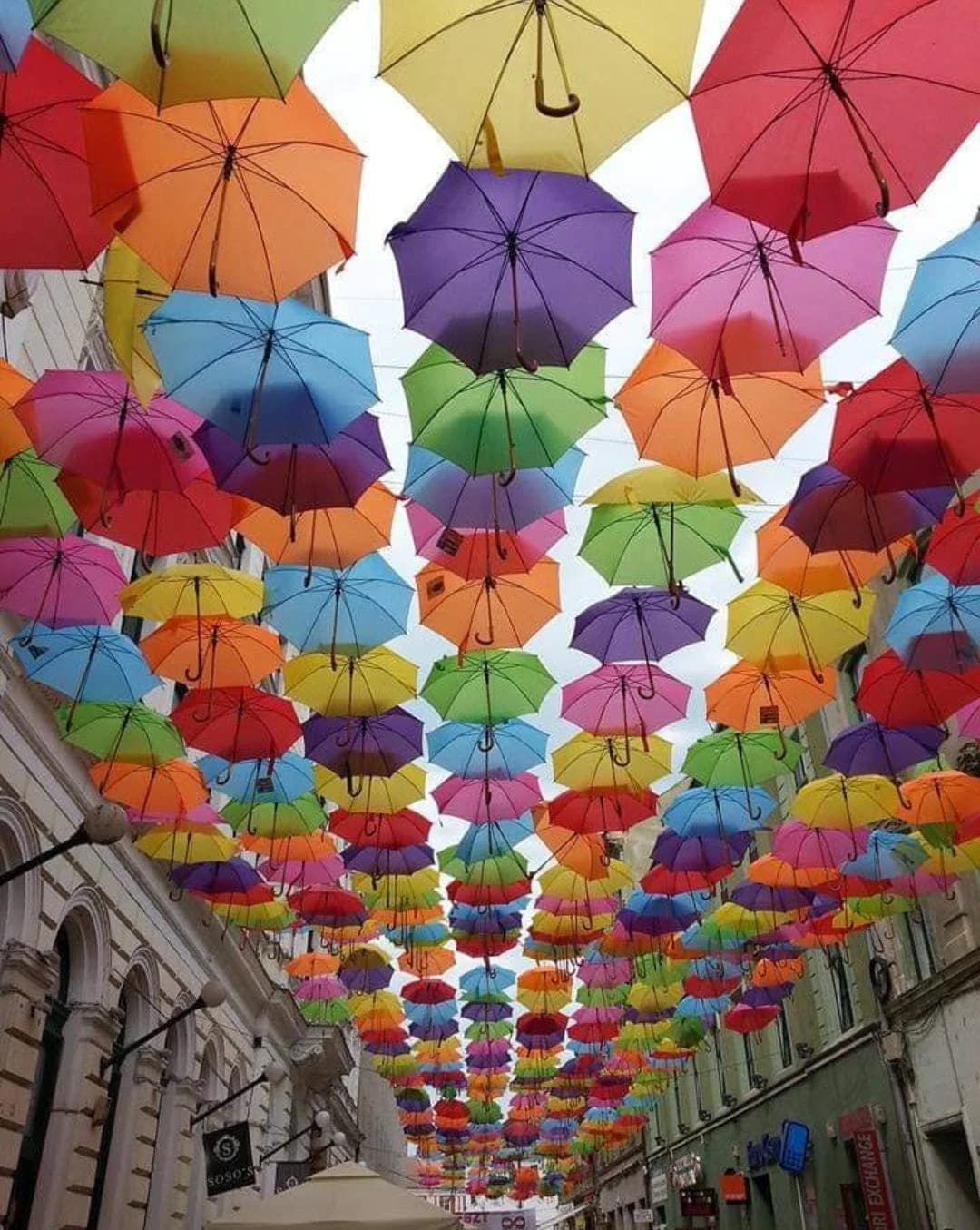 The best choice for distributing rain umbrellas - Decorations and interior design