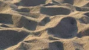 Why do Arab countries import sand from Australia, reasons and results Why do Arab countries import sand from Australia, reasons and results - Decorations and interior design