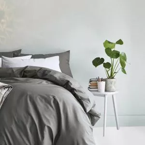 ديكورات شتوية بألوان مضيئة